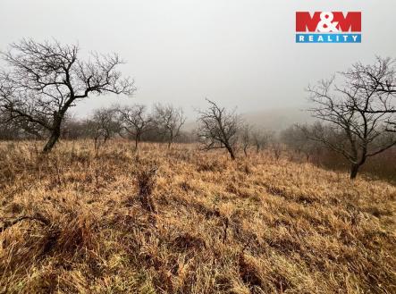 IMG_2830.jpeg | Prodej - pozemek, zahrada, 2 207 m²