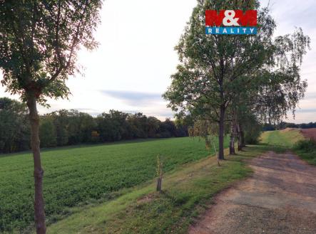 pole 1.jpg | Prodej - pozemek, zemědělská půda, 19 072 m²