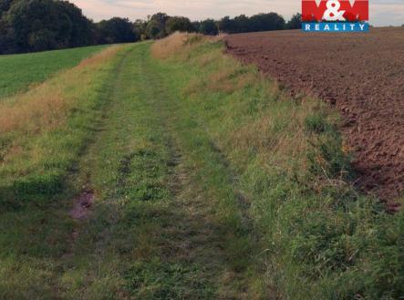 pole 2.jpg | Prodej - pozemek, zemědělská půda, 19 072 m²