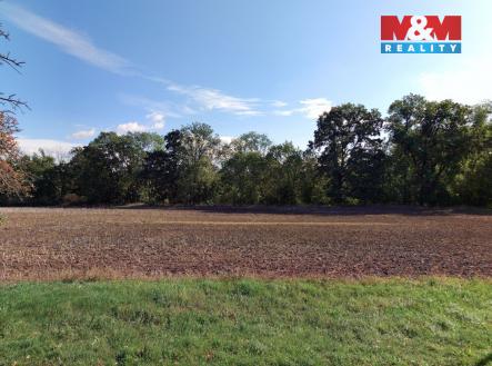 pole3.jpg | Prodej - pozemek, zemědělská půda, 19 072 m²