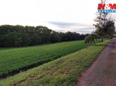 pole4.jpg | Prodej - pozemek, zemědělská půda, 19 072 m²