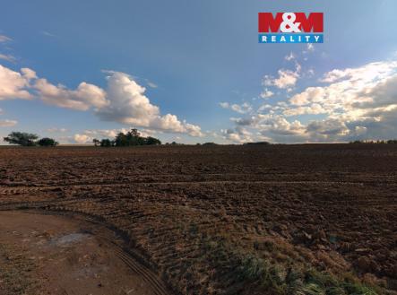pole | Prodej - pozemek, zemědělská půda, 11 369 m²