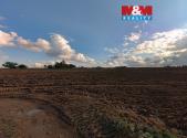Prodej - pozemek, zemědělská půda, 11 369 m²