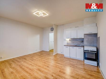 DSC09437_10.jpg | Pronájem bytu, 1+kk, 27 m²