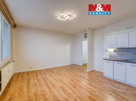 DSC09467_17.jpg | Pronájem bytu, 1+kk, 27 m²