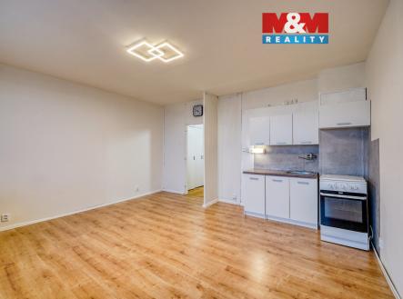 DSC09437_10.jpg | Pronájem bytu, 1+kk, 27 m²