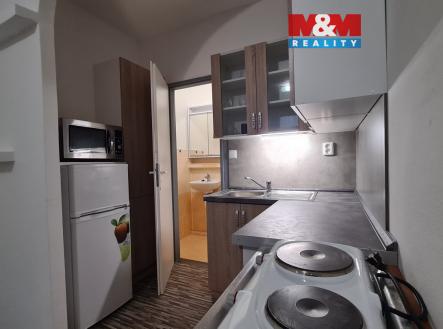 20251222_150900.jpg | Pronájem bytu, 1+kk, 15 m²