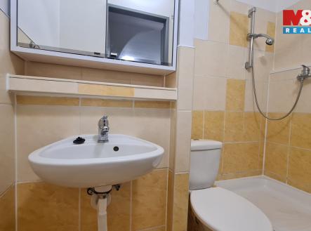 20251222_151140.jpg | Pronájem bytu, 1+kk, 15 m²