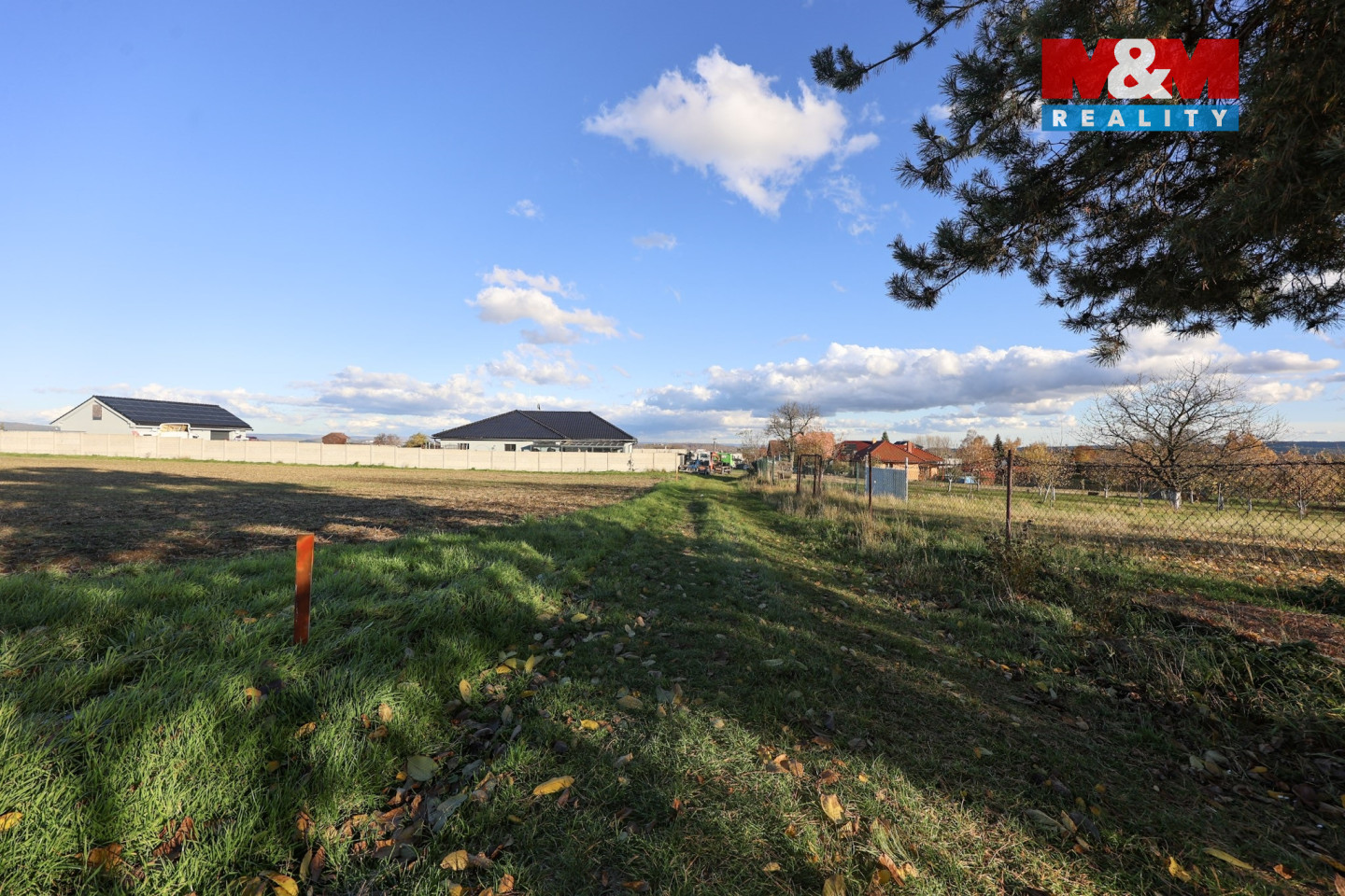 IMG_8394 - kopie - kopie.jpg