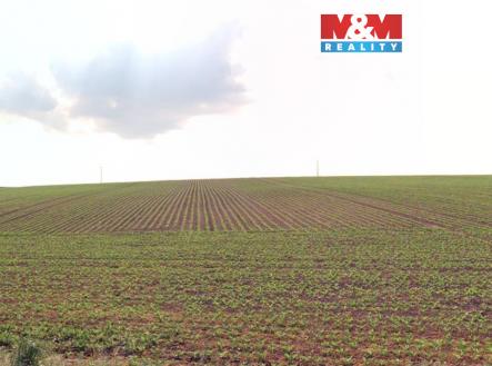 PS1.jpg | Prodej - pozemek, zemědělská půda, 2 579 m²
