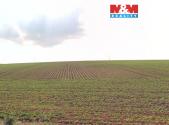 Prodej - pozemek, zemědělská půda, 2 579 m²