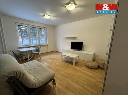 IMG_9048.jpg | Pronájem bytu, 2+kk, 54 m²