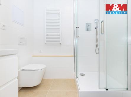 IMG_6683.jpg | Pronájem bytu, 1+1, 32 m²