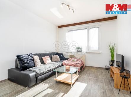 4 Vamberk Struha Obývák 3.jpg | Pronájem bytu, 1+1, 32 m²