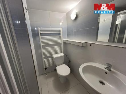 IMG_5190.jpg | Pronájem bytu, 1+1, 43 m²