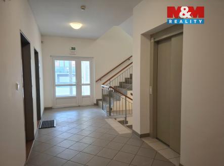 12.jpg | Pronájem bytu, 1+kk, 46 m²