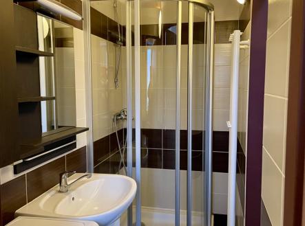 koupelna.jpg | Pronájem bytu, 2+1, 62 m²