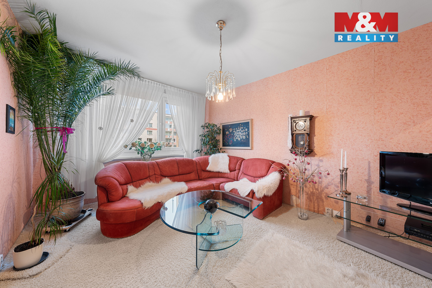 Pes╠îkova 508_11.jpg