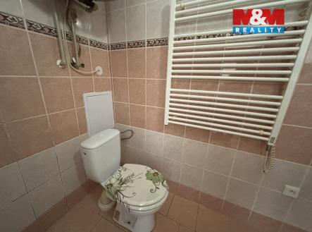 IMG_7388.jpg | Pronájem bytu, 2+1, 44 m²