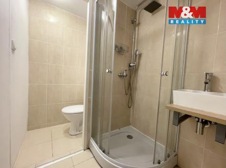 IMG_0514.jpeg | Pronájem bytu, 2+1, 40 m²