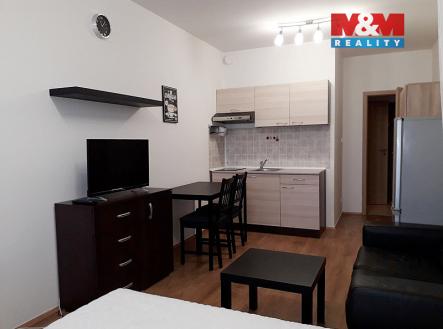 20201219_115149.jpg | Pronájem bytu, 1+kk, 26 m²