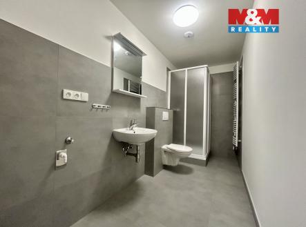 IMG_1243.jpeg | Pronájem bytu, 1+1, 56 m²