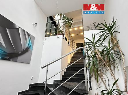 Reprezentativní vstup | Pronájem - kanceláře, 405 m²