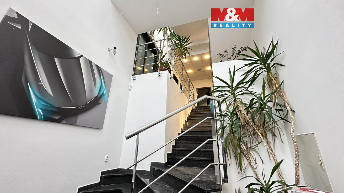 Reprezentativní vstup