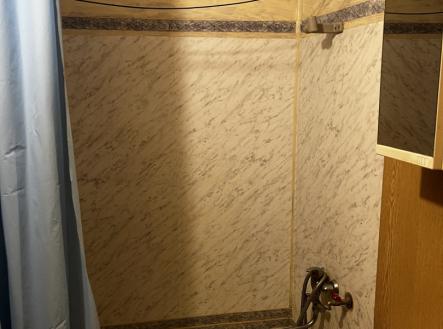 IMG_7080.jpeg | Pronájem bytu, 1+kk, 32 m²