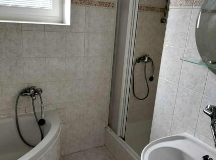 43f6434b-e52e-4737-82e9-8708a20bdae1.jpg | Pronájem bytu, 2+1, 55 m²