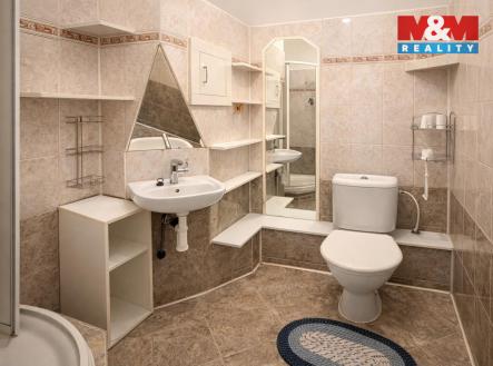 WhatsApp Image 2026-01-20 at 15.43.18 (3).jpeg | Pronájem bytu, 1+kk, 25 m²