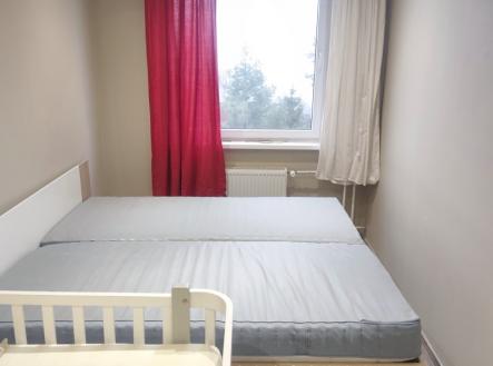 IMG_20260117_094119.jpg | Pronájem bytu, 2+kk, 44 m²