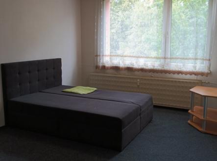 viber_image_2025-08-24_19-29-42-300.jpg | Pronájem bytu, 1+kk, 29 m²