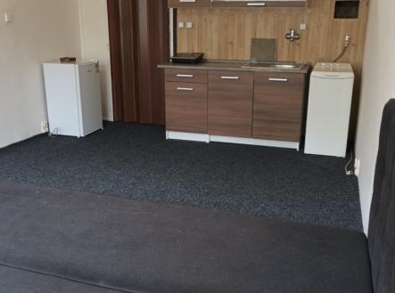 viber_image_2025-08-24_19-29-42-337.jpg | Pronájem bytu, 1+kk, 29 m²