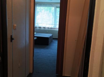 viber_image_2025-08-24_19-29-41-532.jpg | Pronájem bytu, 1+kk, 29 m²