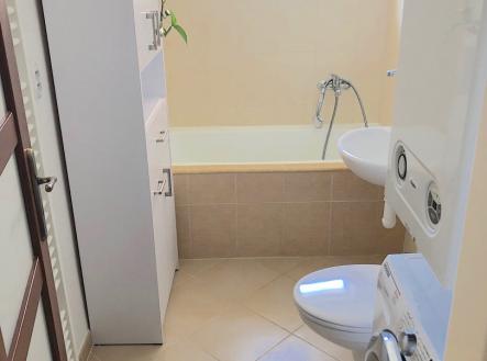 koupelna.jpg | Pronájem bytu, 2+1, 53 m²