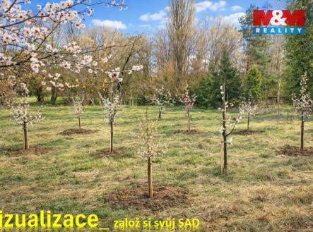 sad.jpg | Prodej - pozemek, zahrada, 1 052 m²