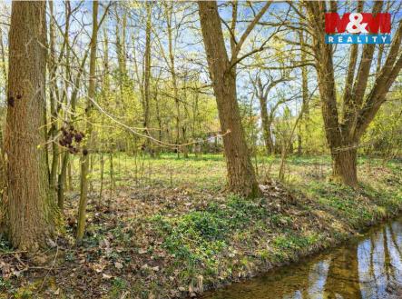 B.jpg | Prodej - pozemek, zahrada, 1 304 m²