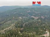 Prodej - pozemek, les, 6 294 m²