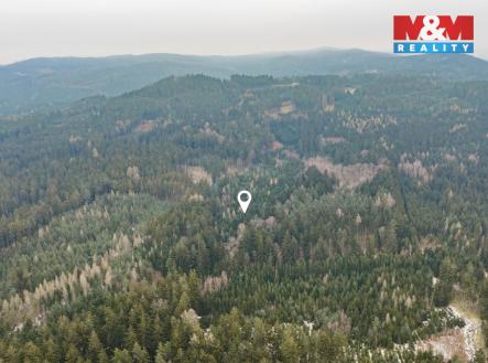 DJI_20260122102032_0264_Db.jpg | Prodej - pozemek, les, 6 294 m²