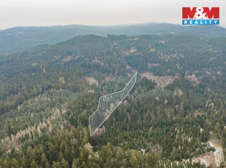 DJI_20260122102032_0264_Dbb.jpg | Prodej - pozemek, les, 6 294 m²