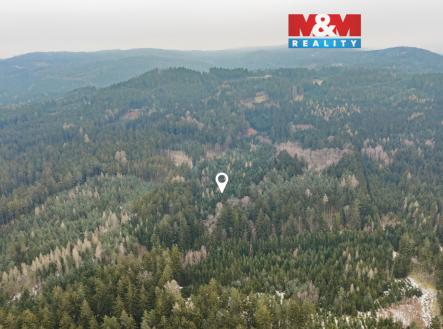 DJI_20260122102032_0264_Db.jpg | Prodej - pozemek, les, 6 294 m²