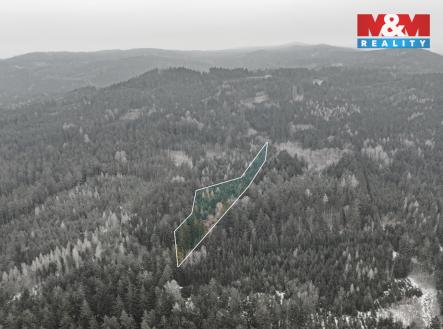 DJI_20260122102032_0264_Dbbb.jpg | Prodej - pozemek, les, 6 294 m²