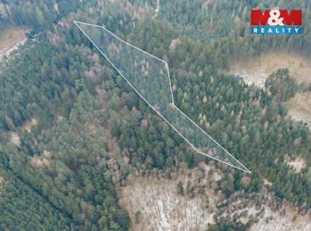 DJI_20260122102256_0268_Db.jpg | Prodej - pozemek, les, 6 294 m²