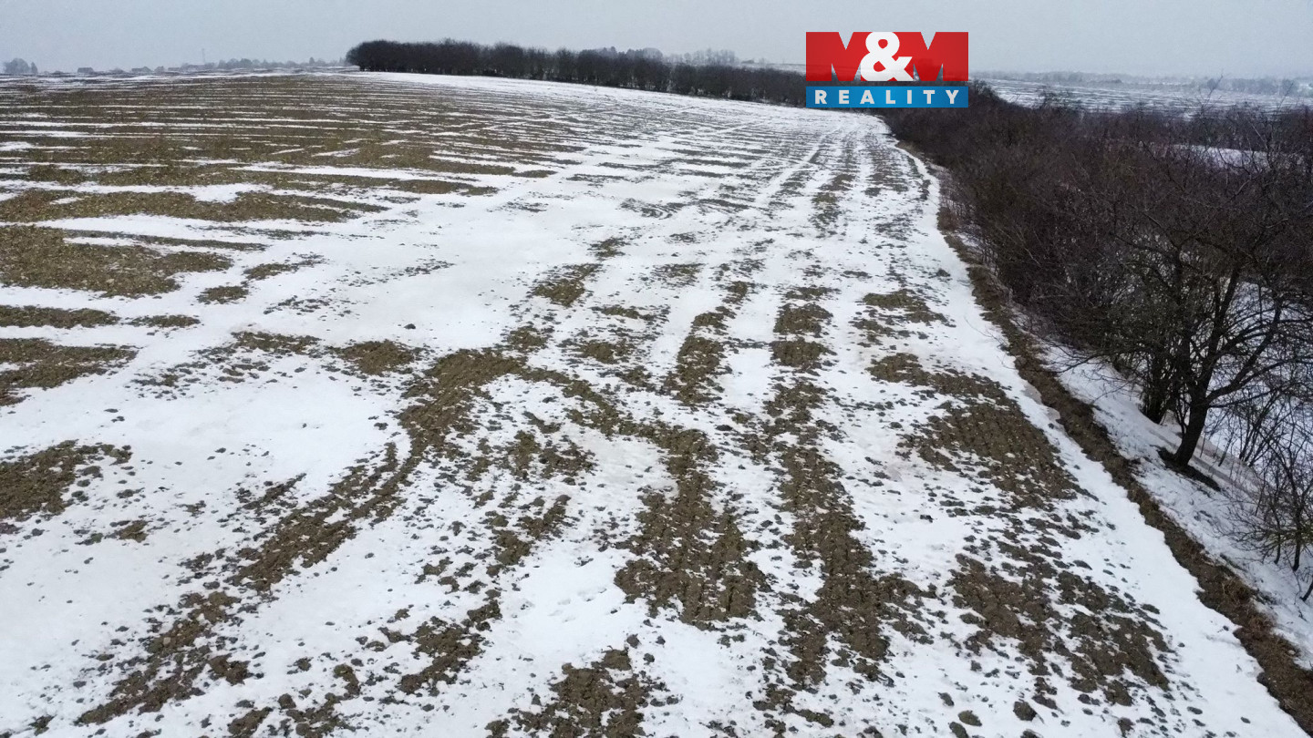 WhatsApp Image 2026-01-23 at 12.16.48 (9).jpeg