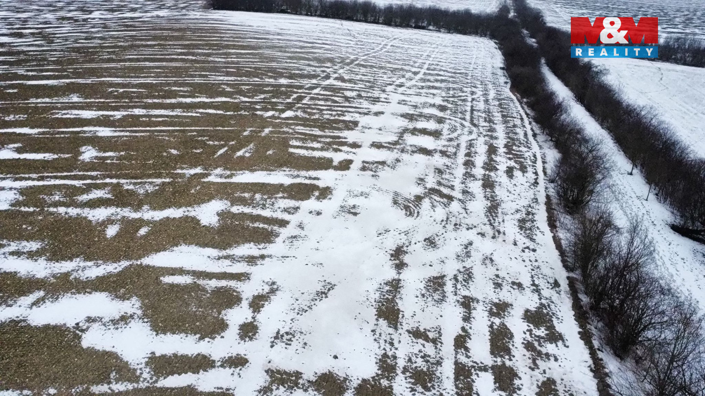 WhatsApp Image 2026-01-23 at 12.16.48 (5).jpeg