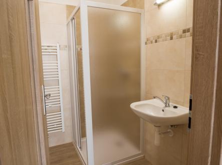 3_byt_Q9A1781.jpg | Pronájem bytu, 1+kk, 30 m²