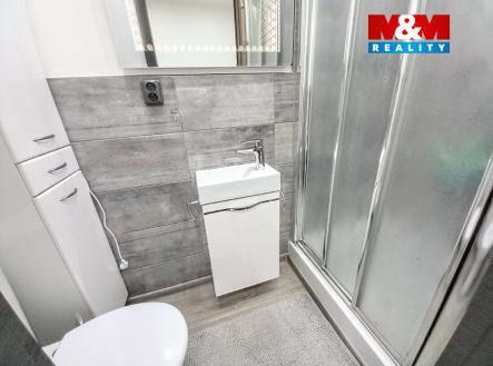 b94fde22-bff4-48d8-93ef-9ce6bd4bad8a.jpg | Pronájem bytu, 1+1, 28 m²