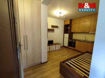 WhatsApp Image 2026-01-21 at 08.54.21.jpeg | Pronájem bytu, 1+kk, 15 m²