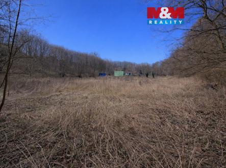 Pozemek | Prodej - pozemek pro bydlení, 5 378 m²